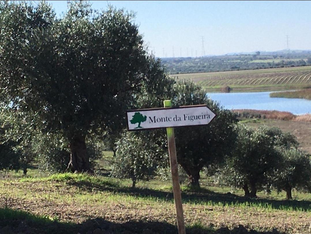 Amareleja Monte Da Figueiraヴィラ エクステリア 写真