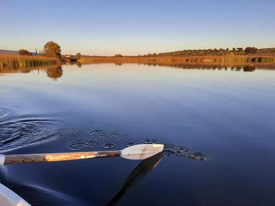 Amareleja Monte Da Figueiraヴィラ エクステリア 写真