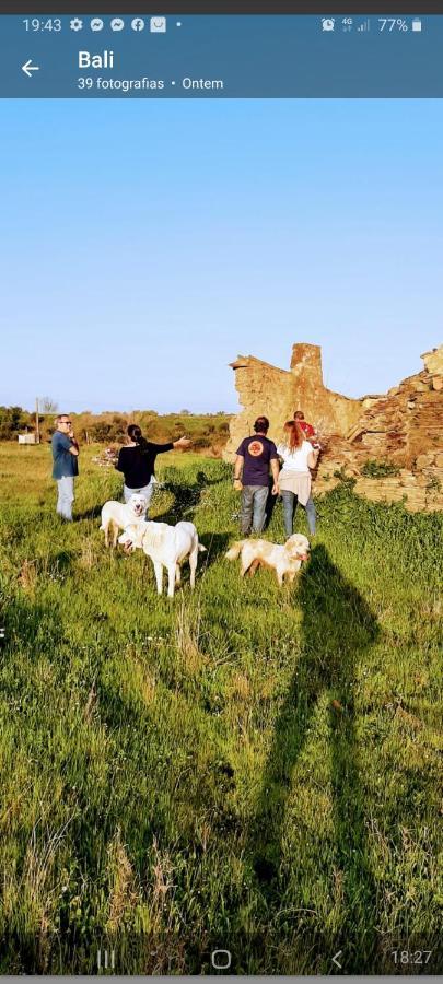 Amareleja Monte Da Figueiraヴィラ エクステリア 写真