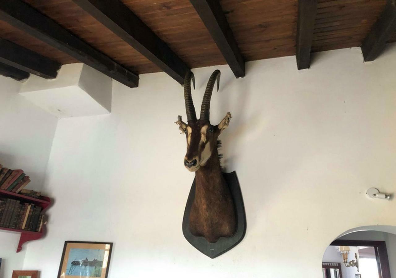 Amareleja Monte Da Figueiraヴィラ エクステリア 写真